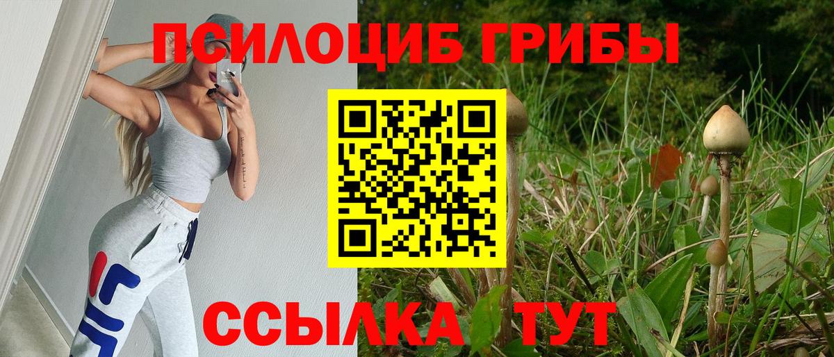 Галлюциногенные грибы Psilocybine cubensis Михайловка