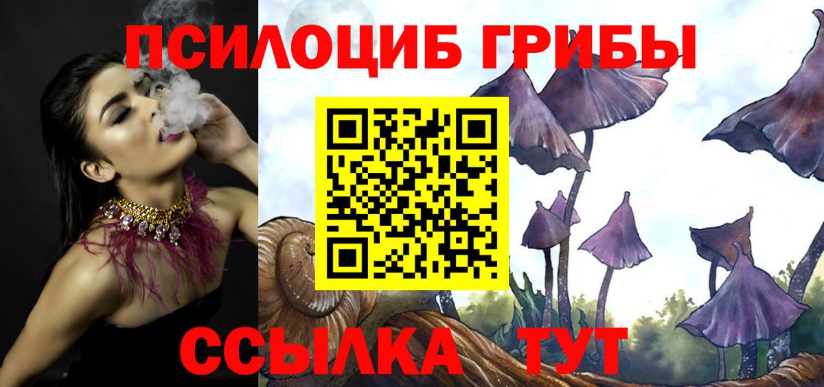 Псилоцибиновые грибы Psilocybe  Вход с VPN  Михайловка  Псилоцибиновые грибы MAGIC MUSHROOMS 
